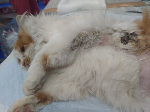 20260120_170656_copy_800x600