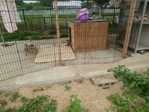 20230606_140548_copy_800x600