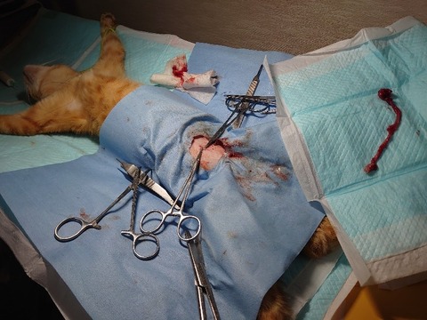 DSC_4215_copy_800x600