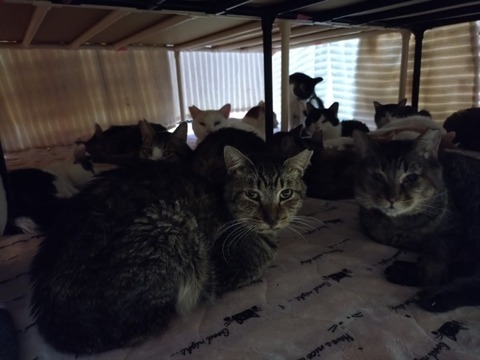 20260116_192635_copy_800x600