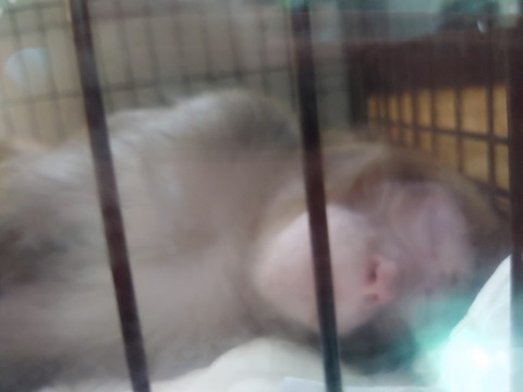 20230518_141100_copy_800x600