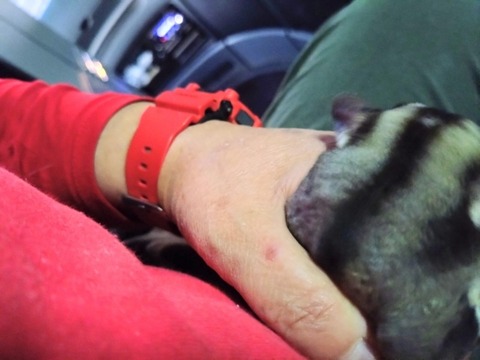 20260118_065804~2_copy_800x600