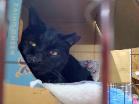 20251222_201347~2_copy_800x600