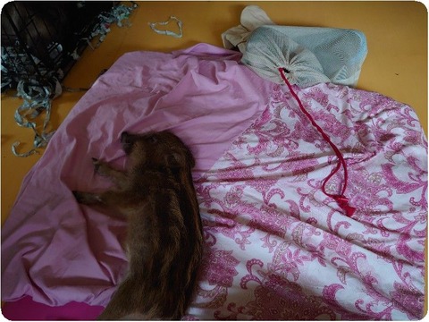 DSC_0168_copy_800x600