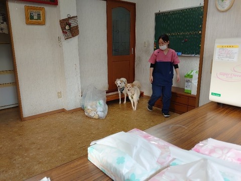 DSC_0852_copy_800x600