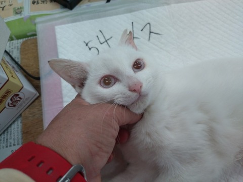 20251216_113947_copy_800x600