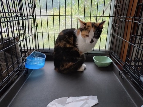 20251003_091816_copy_800x600