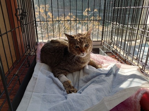 DSC_1546_copy_800x600