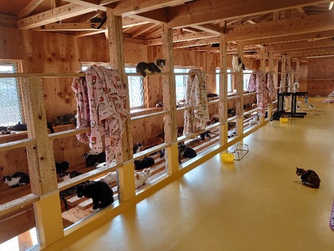 DSC_1276_copy_800x600