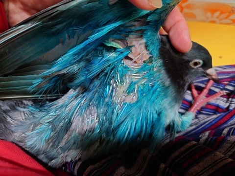 20230901_092300_copy_800x600