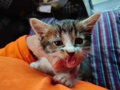 DSC_6082_copy_800x600