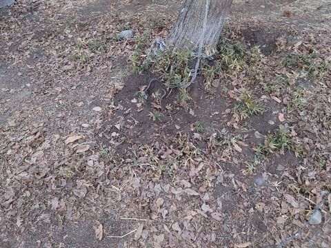 20230302_162222_copy_800x600