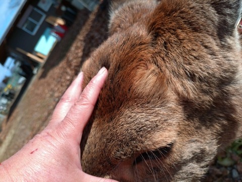 20260105_112006_copy_800x600