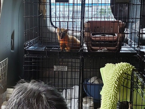 DSC_1691_copy_800x600