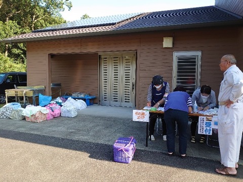 DSC_0631_copy_800x600