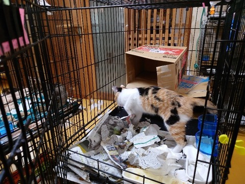 20230301_083838_copy_800x600