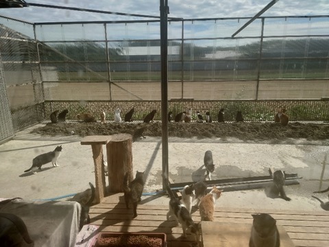 20221014_120120_copy_800x600