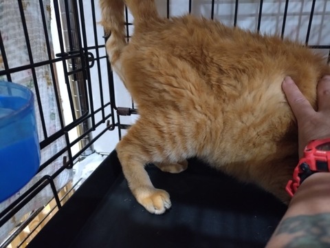 20251019_174700_copy_800x600