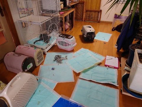 20221010_110928_copy_800x600