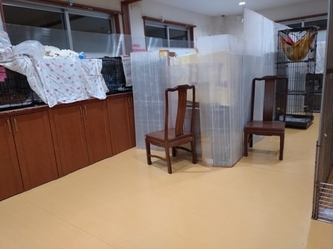 20260226_202845_copy_800x600