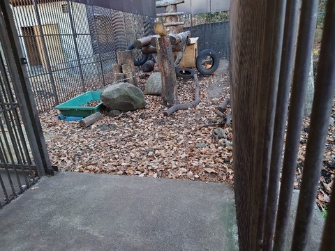 20231225_160737_copy_800x600