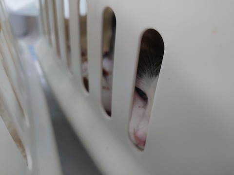 DSC_1668_copy_800x600