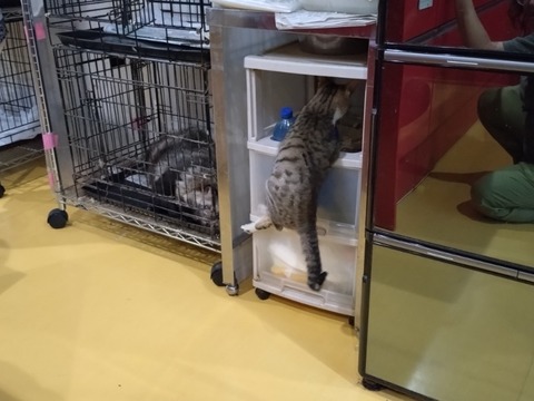 20251023_164327_copy_800x600