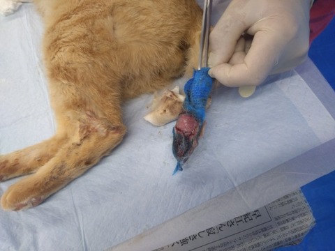 20260120_144617_copy_800x600