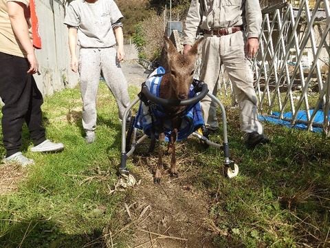 DSC_1555_copy_800x600