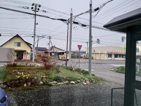 DSC_5705_copy_800x600