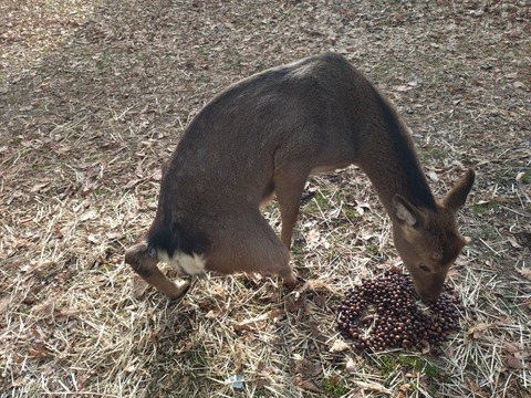 20260102_090106_copy_800x600