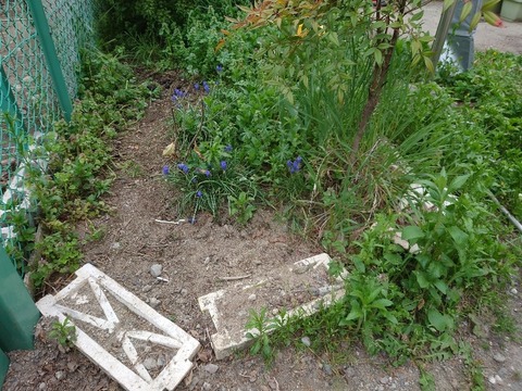 20230421_165835_copy_800x600