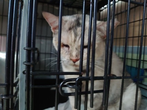 DSC_1896_copy_800x600