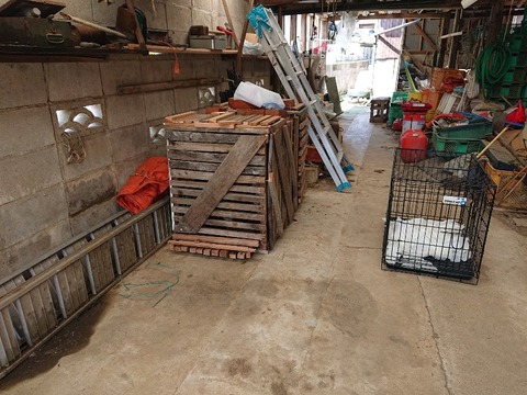 DSC_6321_copy_800x600