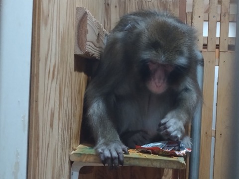 20260225_145205_copy_800x600