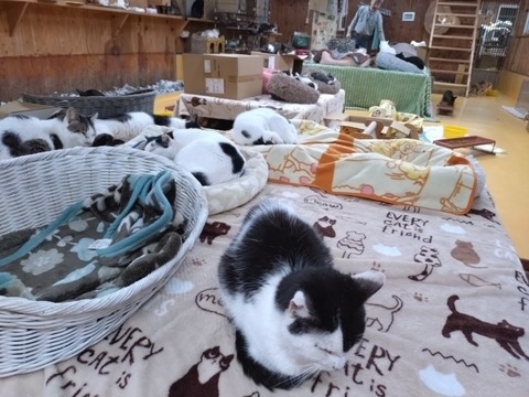 20251102_191341_copy_800x600