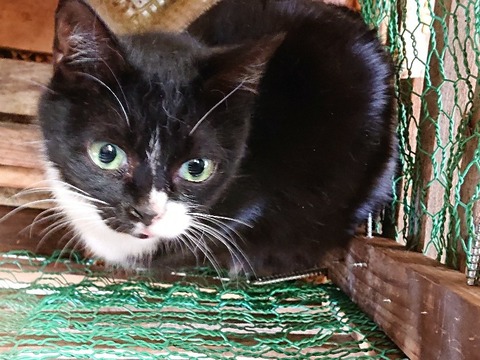 DSC_6325_copy_800x600