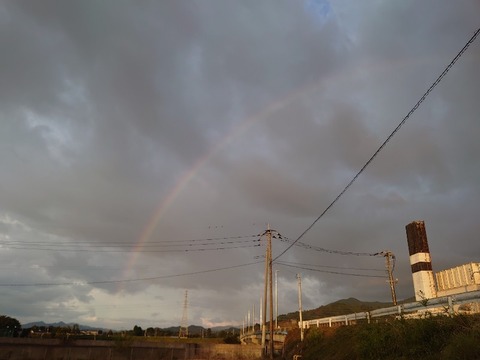 DSC_1674_copy_800x600