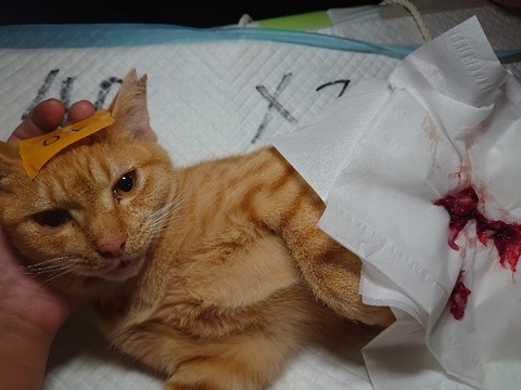 DSC_1636_copy_800x600