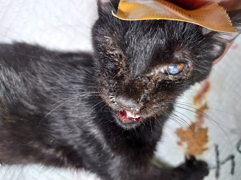 DSC_1632_copy_800x600