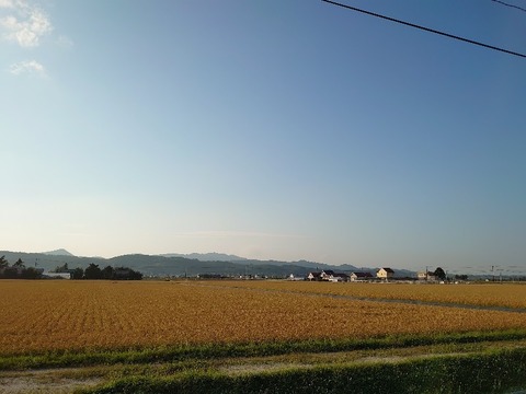 DSC_0309_copy_800x600