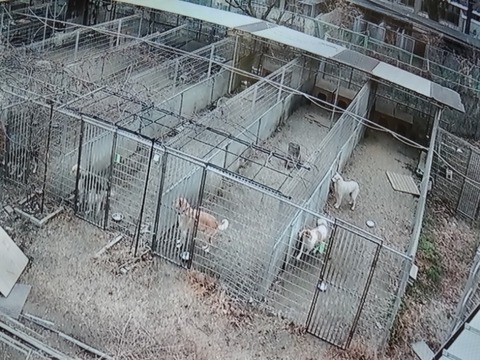 20260208_162525_copy_800x600