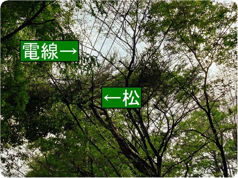 20251006_085633-EDIT