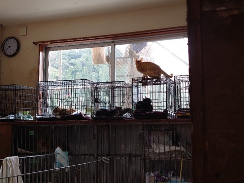 DSC_2767_copy_800x600