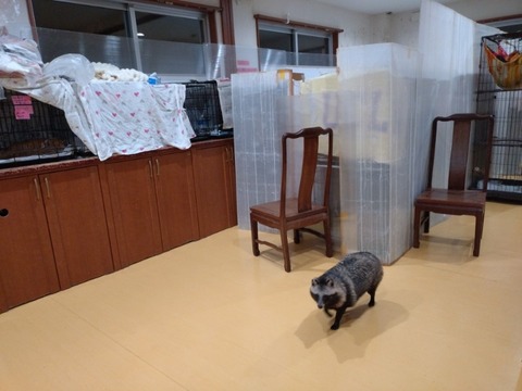 DSC_0000_BURST20260226202914595_COVER_copy_800x600