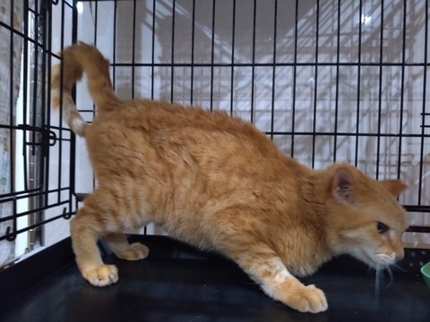 20251019_174710_copy_800x600