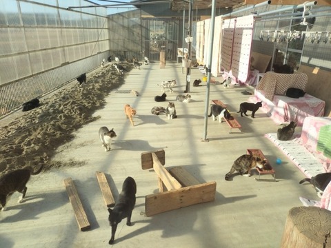 20260212_085916_copy_800x600