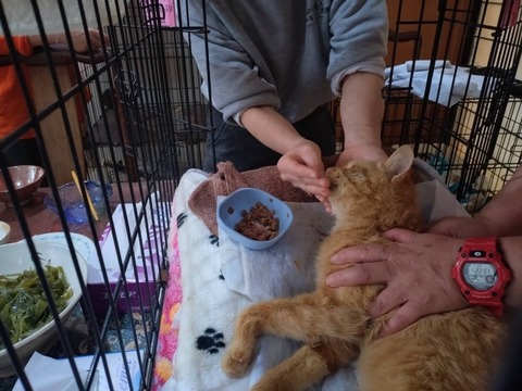 1769506193225_copy_800x600