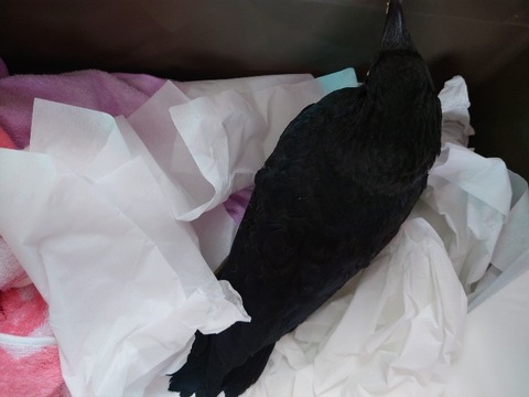 20230519_115604_copy_800x600