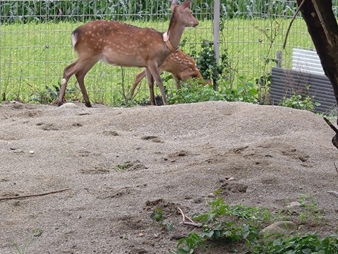 20260812_100418_copy_800x600